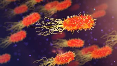 Verlaten biolab in Oekraïne, bewijs van Amerikaanse biolabs Oekraïne