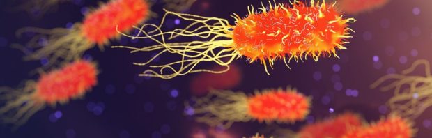 Deze journalist publiceerde documenten over biolabs in Oekraïne en werd weggezet als complotdenker, nu krijgt hij gelijk