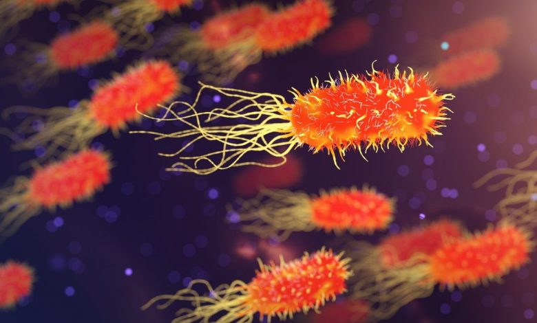 Verlaten biolab in Oekraïne, bewijs van Amerikaanse biolabs Oekraïne