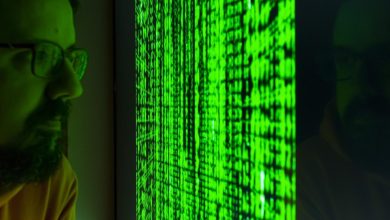 Deze Mexicaanse wetenschapper beweerde dat we in een Matrix leven die sjamanen kunnen manipuleren (en toen verdween hij)