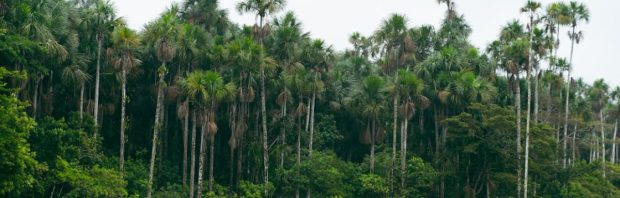 Gezichtsschillers Peru: het angstaanjagende wezen dat een dorp terroriseerde