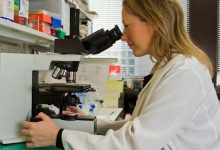 Ivermectine is het meest effectieve middel tegen kankerstamcellen, concludeert deze arts 7 Ivermectine is het meest effectieve middel tegen kankerstamcellen, concludeert deze arts