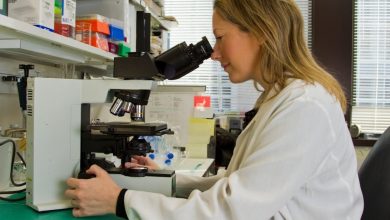Ivermectine is het meest effectieve middel tegen kankerstamcellen, concludeert deze arts