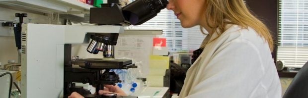 Ivermectine is het meest effectieve middel tegen kankerstamcellen, concludeert deze arts