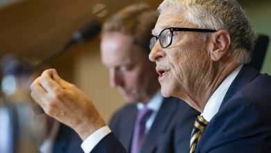 'Merkteken van het beest' Gates financiert permanente markering onder de huid