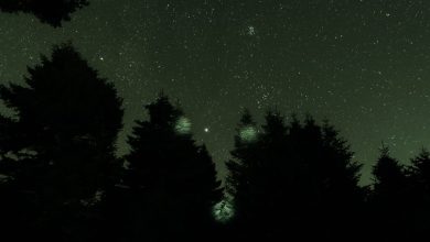 Na vrijgave 162 UFO-documenten: wat verbergen overheden al decennia?