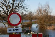 Niet uitzonderlijk hevige regenval, maar waterschap veroorzaakte overstromingen: boeren eisen 5 miljoen