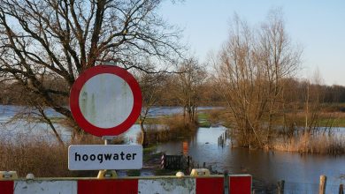 Niet uitzonderlijk hevige regenval, maar waterschap veroorzaakte overstromingen: boeren eisen 5 miljoen