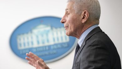 Anthony Fauci binnenlands terrorisme: waarom een presidentieel pardon hem mogelijk niet redt