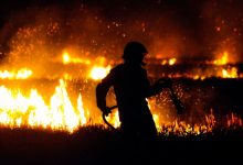 Brandstichting bosbranden Frankrijk: klimaatgoeroe Hiemstra compleet de mist in