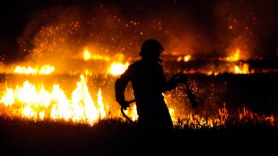 Brandstichting bosbranden Frankrijk: klimaatgoeroe Hiemstra compleet de mist in