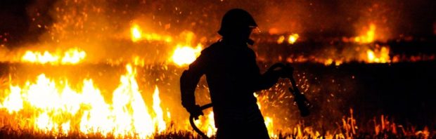 Brandstichting bosbranden Frankrijk: klimaatgoeroe Hiemstra compleet de mist in