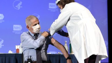 'Coronaonderzoekers implanteerden organen van geaborteerde baby's': senator confronteert Fauci met walgelijke praktijken