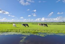 Dankzij CDA en VVD blijft Nederland voorlopig op slot 'vanwege dat absurde mussenpoepje per jaar'