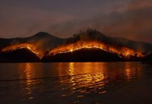 klimaatalarmisme bosbranden brandweer blust bosbrand in Europa