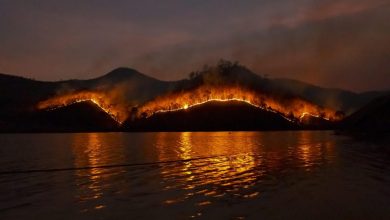klimaatalarmisme bosbranden brandweer blust bosbrand in Europa