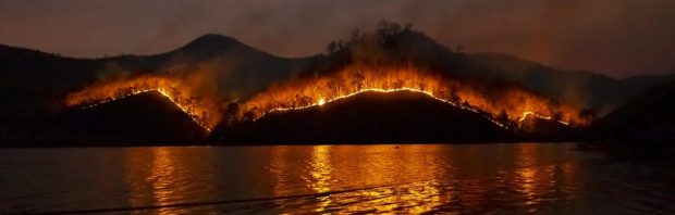 Bosbranden en klimaat: welk verhaal krijg je níét te horen?
