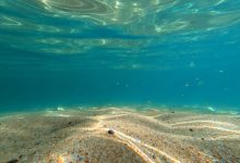 Oceaan onder de aardkorst: meer water dan alle zeeën samen
