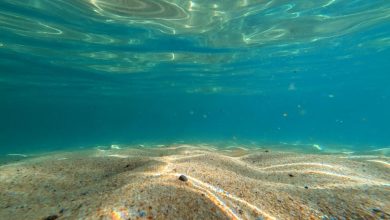 Oceaan onder de aardkorst: meer water dan alle zeeën samen