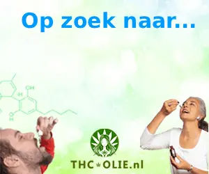 https://www.ninefornews.nl/wp-content/uploads/2026/07/thc-cbn-cbd-olie.nl_.webp