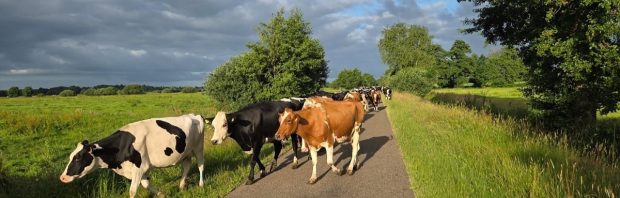 Maak de provincie niet zo zwart en teken gewoon: onteigening boerengezin legt een pijnlijk systeem bloot