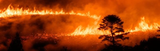 Wat media verzwijgen over bosbranden in Europa: ‘Een totaal ander verhaal dan ze je doen geloven’
