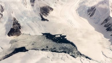 De kaart die niet kon bestaan: wie kende Antarctica vóór de officiële ontdekking?