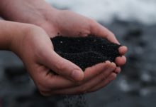 Menselijke compost de voedselketen in: hoe men dit bijna legaliseerde