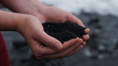 Menselijke compost de voedselketen in: hoe men dit bijna legaliseerde