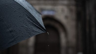 Ze dragen zwarte paraplu’s en stellen verboden vragen: wie zijn de Black Umbrellas?