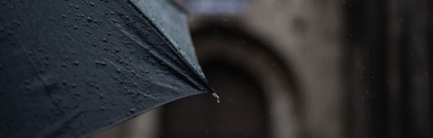 Ze dragen zwarte paraplu’s en stellen verboden vragen: wie zijn de Black Umbrellas?