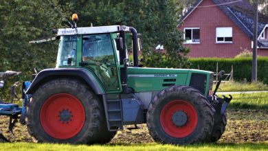 'Bizar': We stellen volgens deze adviesraad onze voedselvoorziening veilig door onze boeren het leven zuur te maken.
