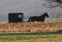Amish kinderen op weg naar school, zonder vaccinaties en zonder chronische ziektes