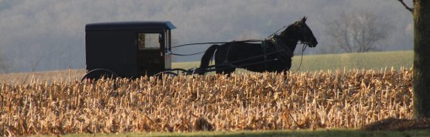 168 kinderen, nul chronische ziektes: de Amish leggen een bom onder het vaccinatiedebat