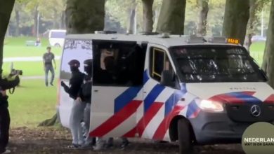 demo malieveld