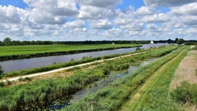 Dit zijn ze van plan in Friesland: 'Als je leest wat de ambtenaren van de veel te grote overheid willen schrik je je kapot'