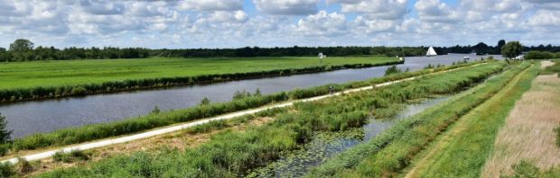 Dit zijn ze van plan in Fryslân: ‘Als je leest wat de ambtenaren van de veel te grote overheid willen schrik je je kapot’
