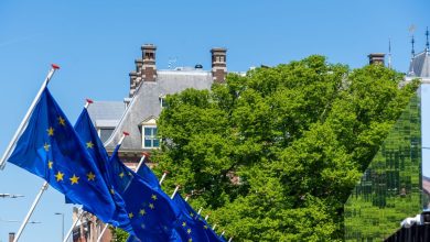 Europees 'Democratieschild': straks strafbaar wat jij online post