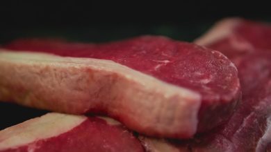 Kweekvlees en kankercellen: Nederlandse boerenvoorman slaat alarm in Amerikaanse podcast