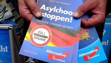 Uitspraken van 'in de media geplante' AIVD'er na verkiezingswinst AfD zorgen voor koude rillingen