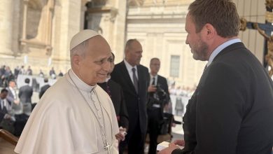 Viganò over Leo XIV: 'Agenda Franciscus niet vertraagd, maar versneld'
