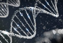 'Dit is de eerste peer-reviewed studie die laat zien dat covidvaccin-DNA kan integreren in het menselijk genoom'