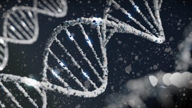 'Dit is de eerste peer-reviewed studie die laat zien dat covidvaccin-DNA kan integreren in het menselijk genoom'