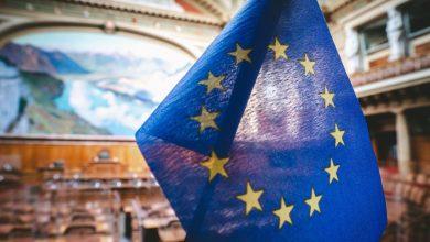 Europarlementslid eist massadeportaties: 'Jullie hebben Europa vernietigd'
