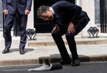 rutte