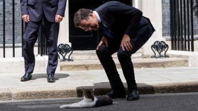 rutte