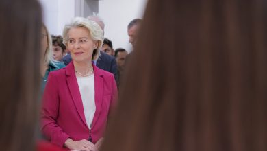'Ongekozen leider schaft democratie af en start Brusselse dictatuur'
