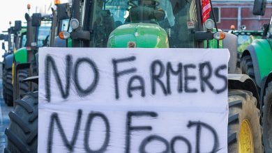 Stop met praten over stikstof: dit is de discussie die boeren moeten voeren