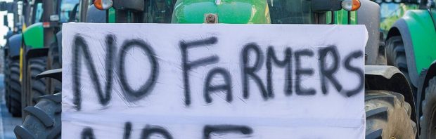 Stop met praten over stikstof: dit is de discussie die boeren moeten voeren