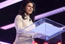 Tulsi Gabbard klapt uit de school: Deep State saboteert vrede in Oekraïne